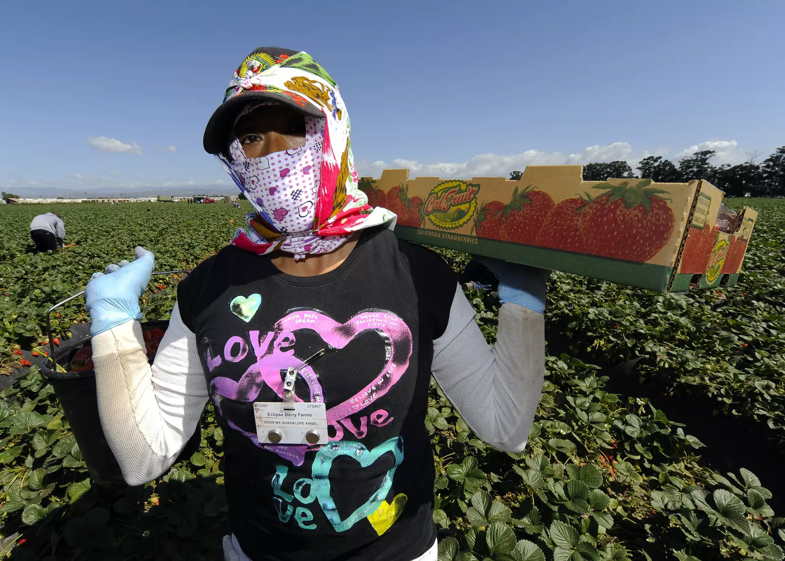 did you know story image